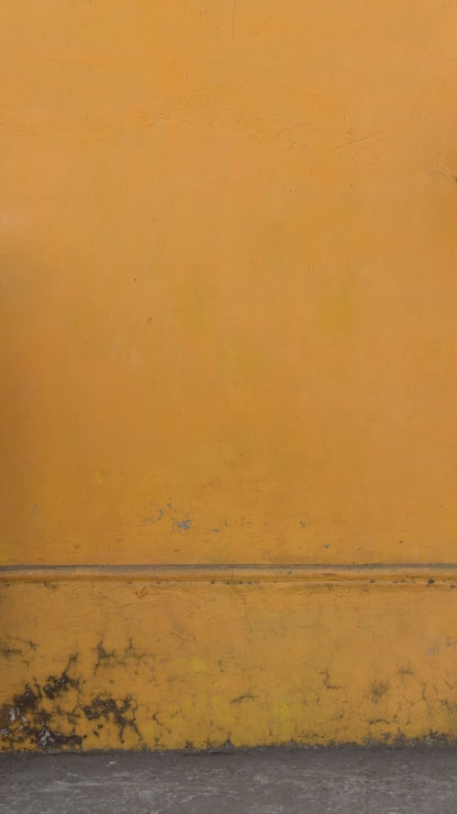 Rugby Stripe Knit Polo (Red Black White)