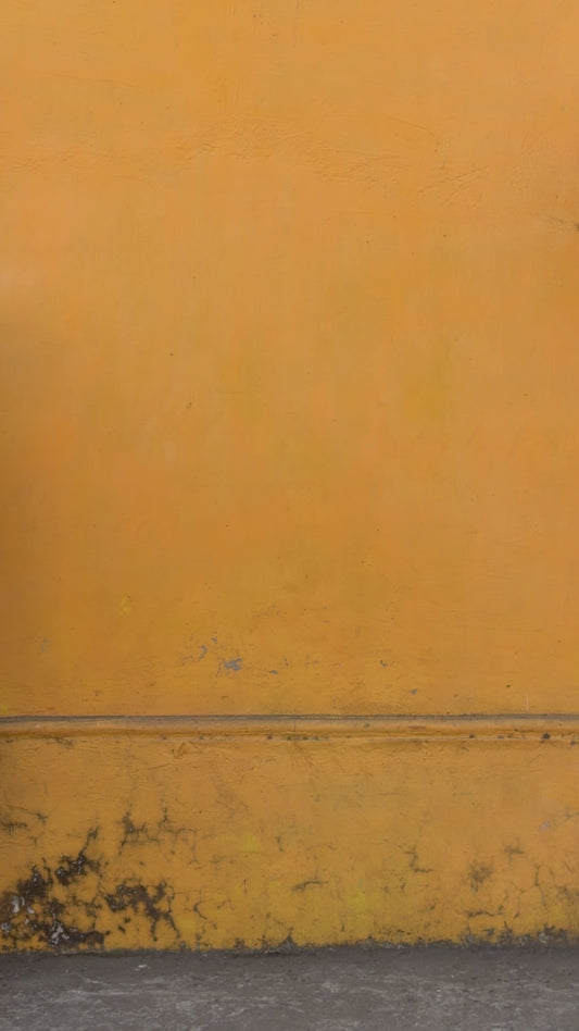 Rugby Stripe Knit Polo (Red Black White)